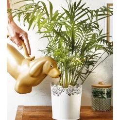 Arrosoir chat ou chien