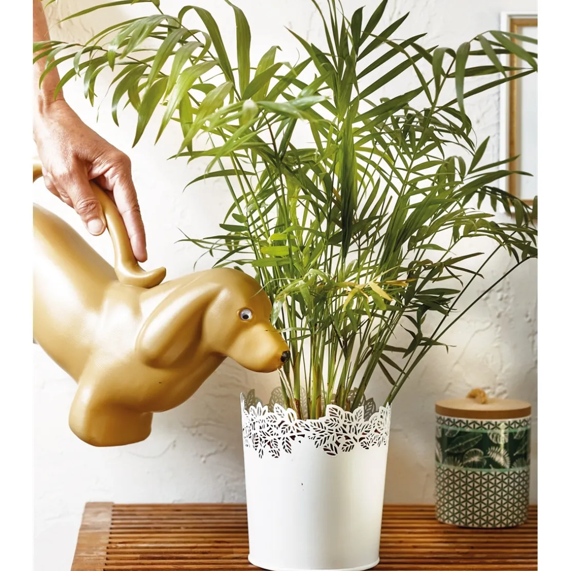 Arrosoir chat ou chien