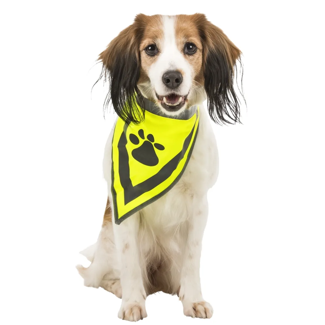Bandana sécurité pour chien taille S/M