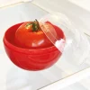 Boîte conservation tomate