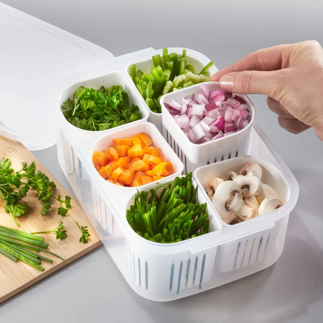 Boîte de conservation compartimentée