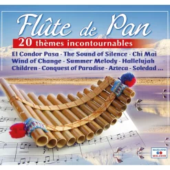 Cd flute de pan 20 themes incontournable