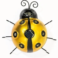 Coccinelle décorative : divers coloris