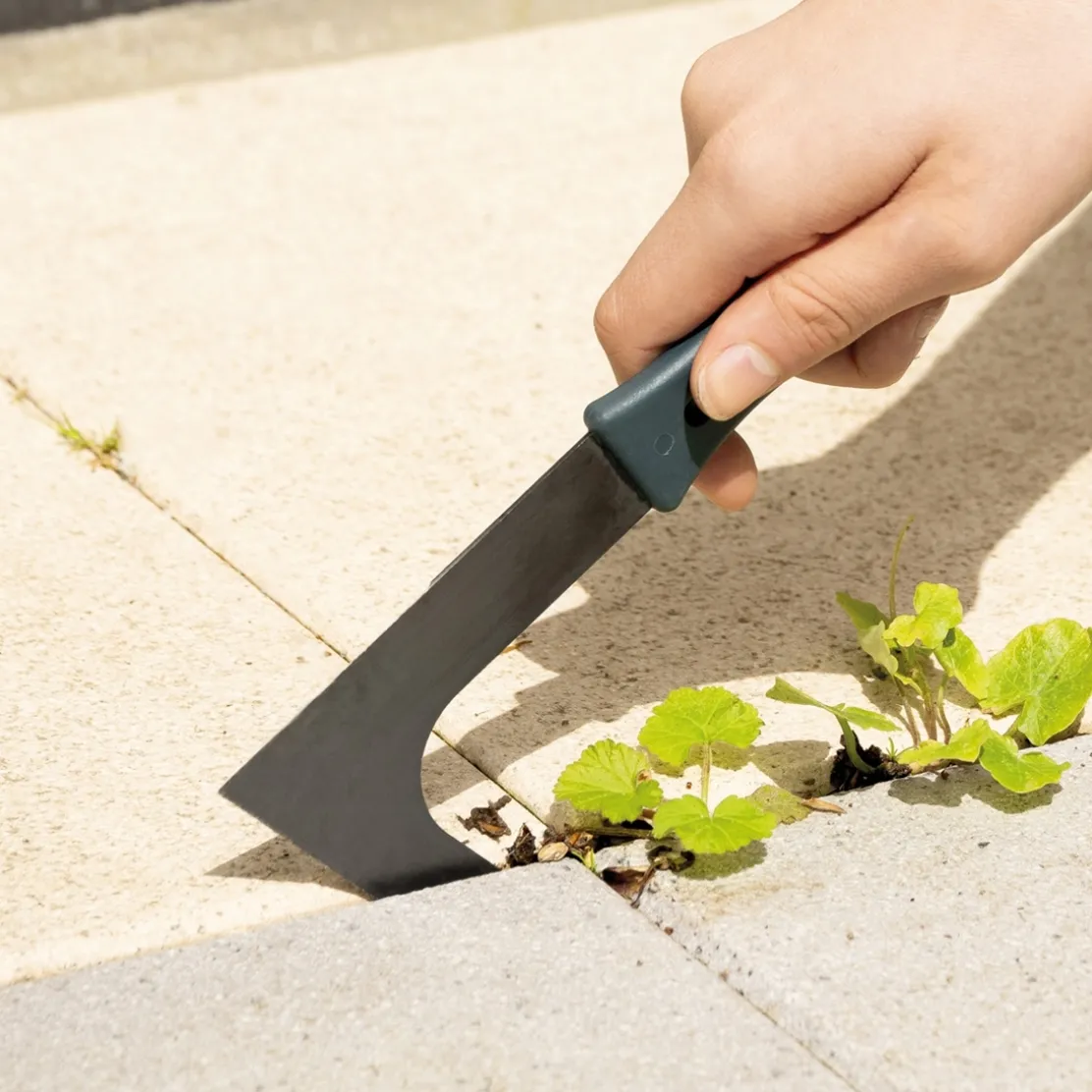 Coupe-bordures et nettoie joints