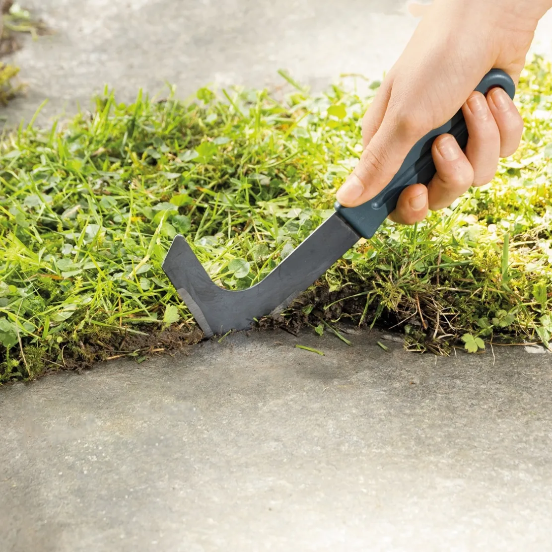 Coupe-bordures et nettoie joints