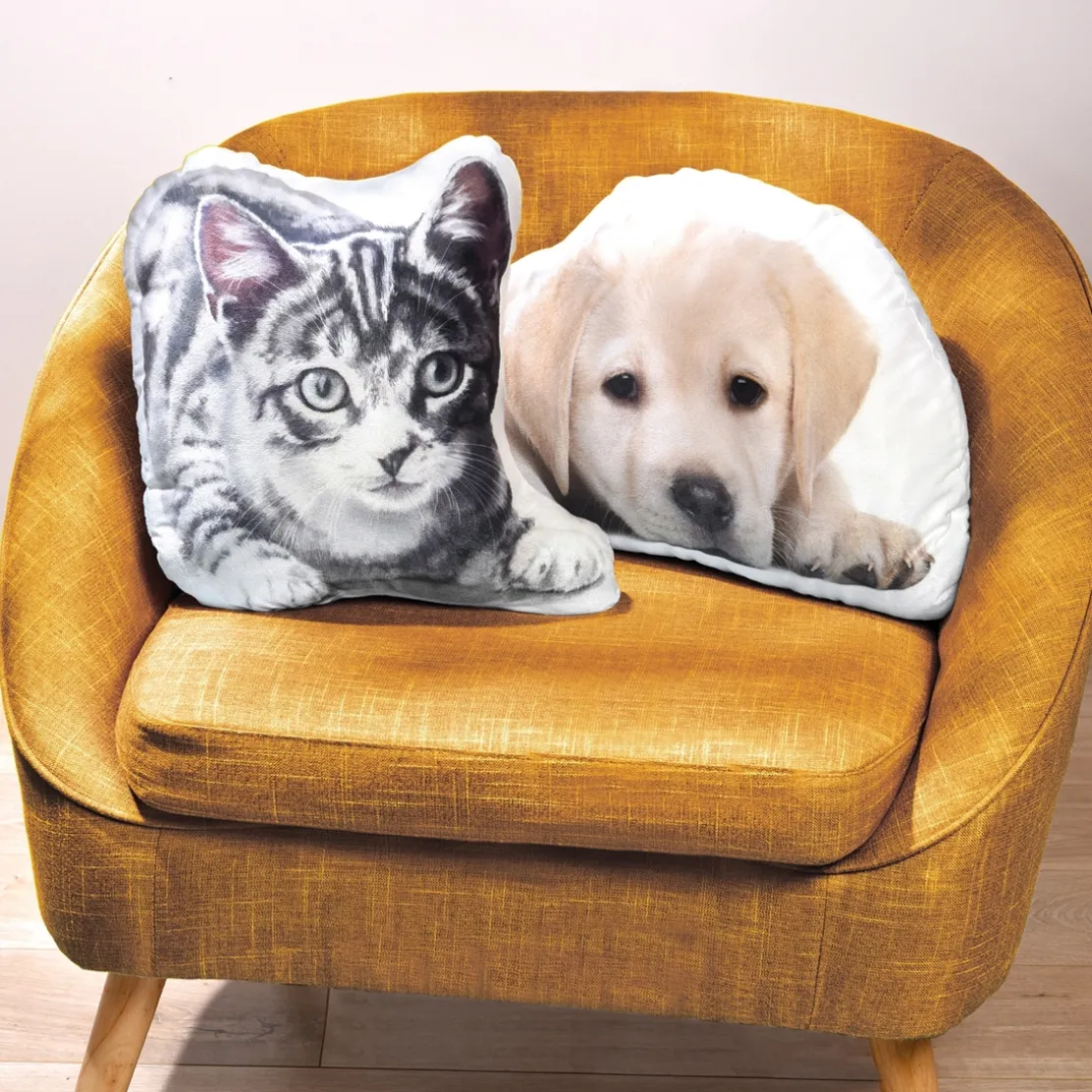 Coussin labrador