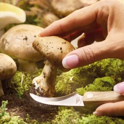 Couteau champignon