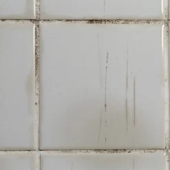 Crème récurrente terra récur