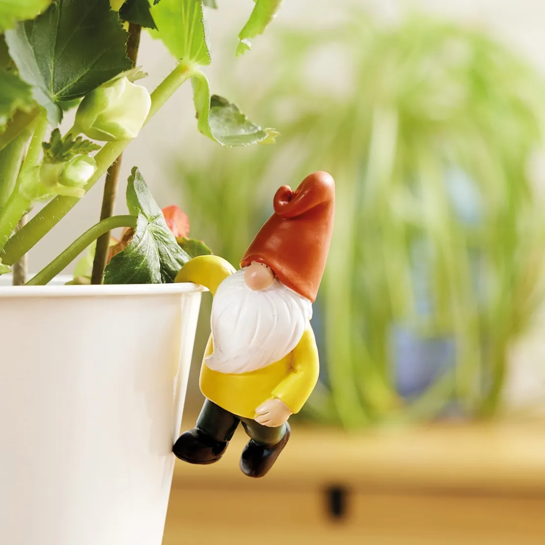 Décoration pour pot