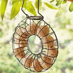 Distributeur de boules de graisse pour oiseaux