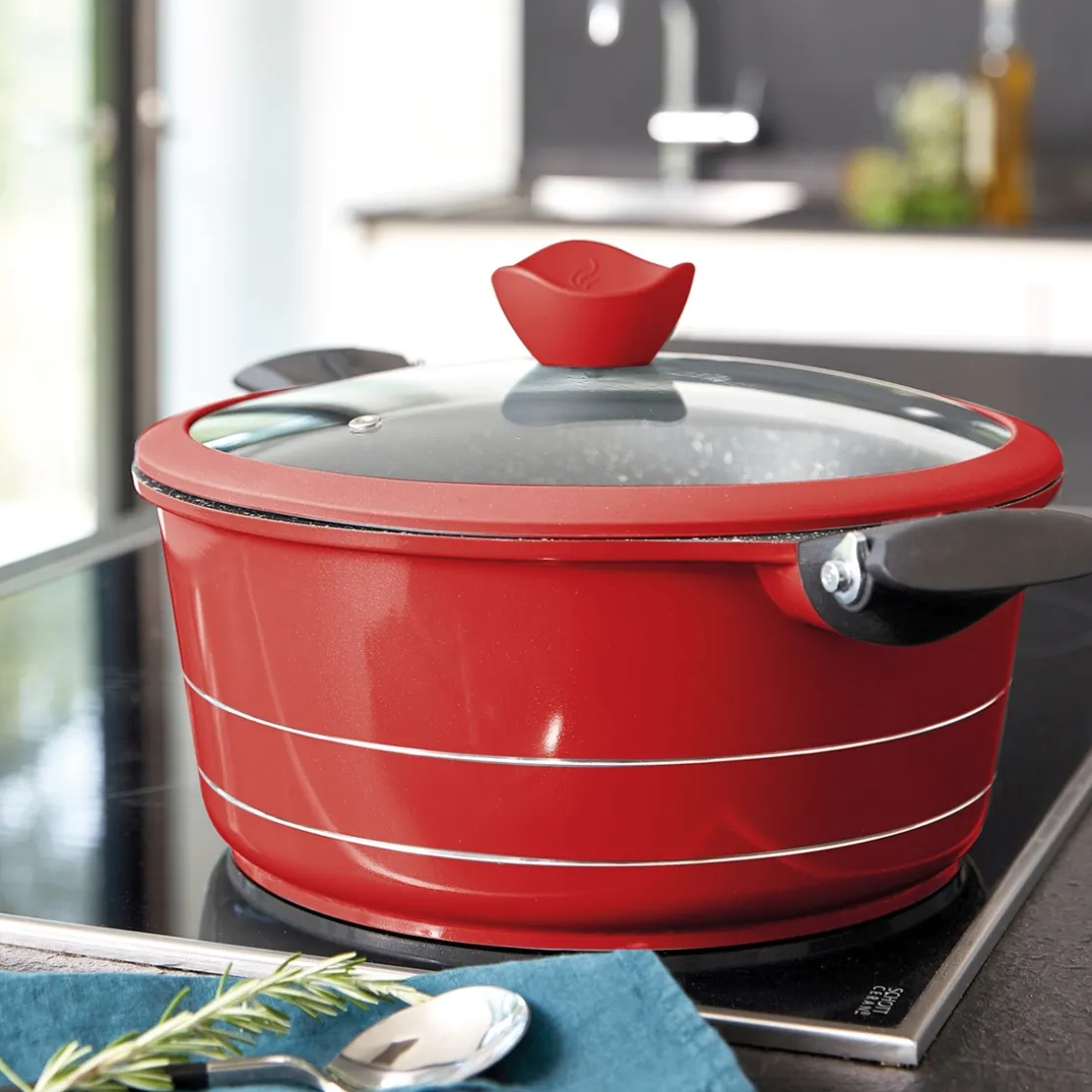 Faitout en fonte d'aluminium Pradel France ®