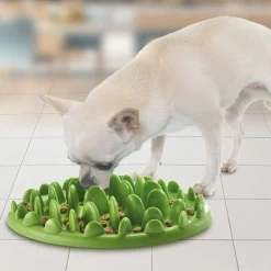 Gamelle anti-gloutonnerie Chien ou chat