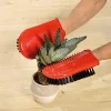 Gant pour cactus