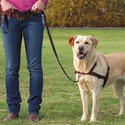 Harnais anti-traction - 3 tailles