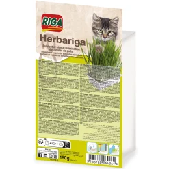 Herbe fraîche pour chat