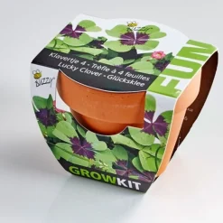 Kit trèfles à 4 feuilles