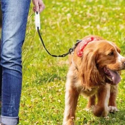 Laisse avec enrouleur