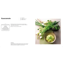 Livre 100 recettes apéritives créatives