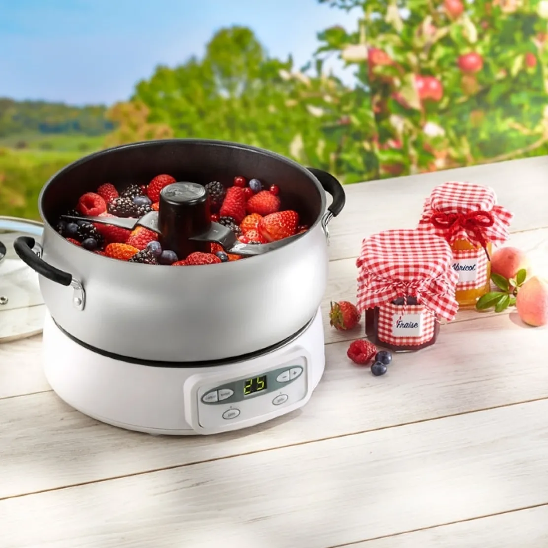 Livre "Confitures, gelées et marmelades"