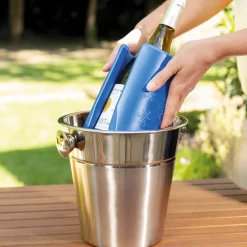 Lot de 2 accumulateurs de froid bouteille