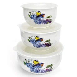 Lot de 3 bols avec couvercle oiseaux
