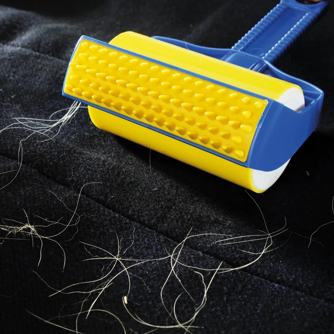 Lot de 2 brosses anti-poils
