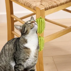 Lot de 2 grattoirs chats