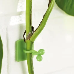 Lot de 50 guides de croissance