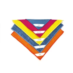 Lot de 5 microfibres multisurfaces