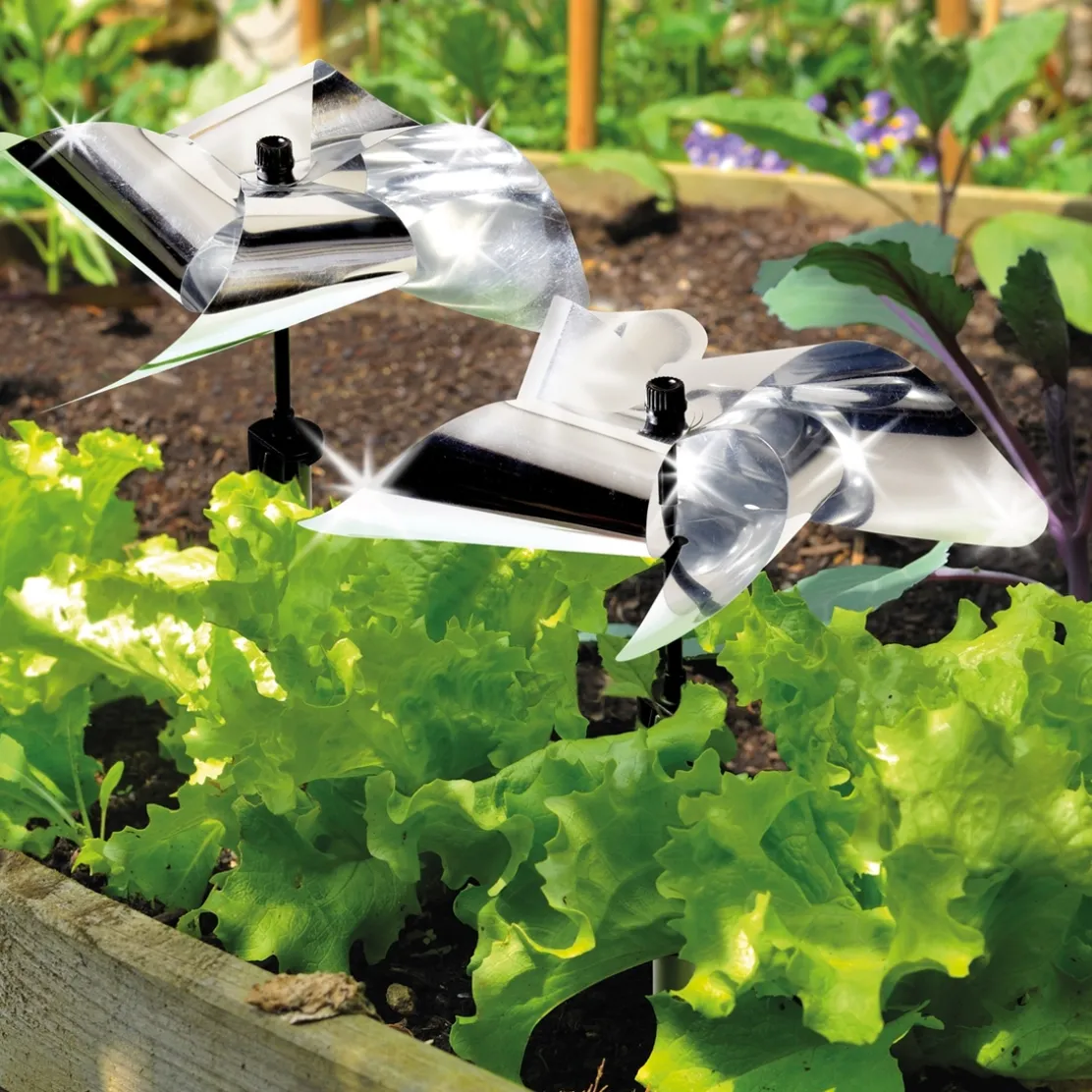 Moulin repousse-oiseaux