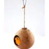 Nichoir coco pour oiseaux