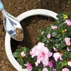 Outil de jardinage multifonctions