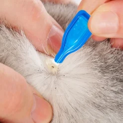 Pipettes stop parasites