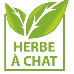 Poisson clown gigotant pour chat