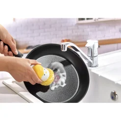 Poussin pique éponges