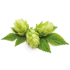 Pâte orale Vermi'délice chat/chien