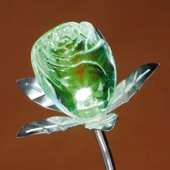 Rose changement de couleur