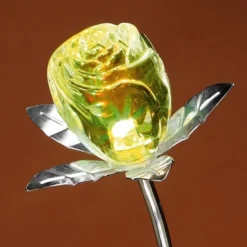 Rose changement de couleur