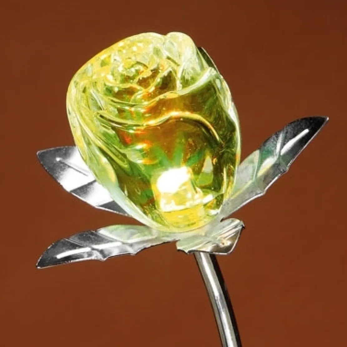 Rose changement de couleur