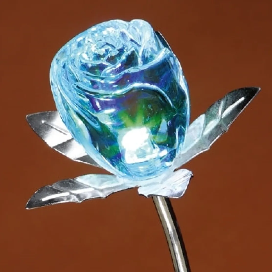 Rose changement de couleur