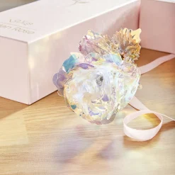 Rose dans son coffret