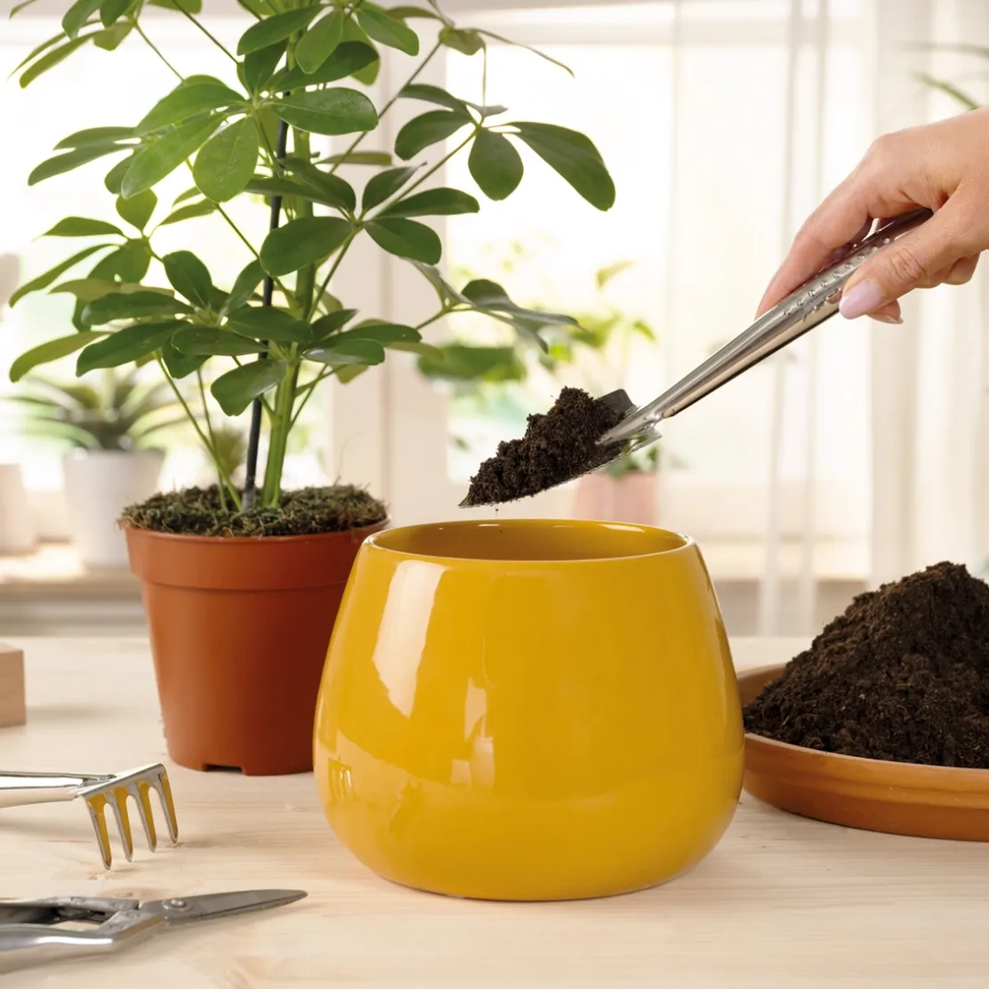 Set d'outils de jardin d'intérieur