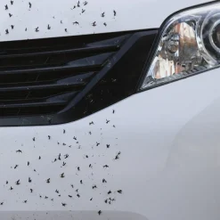 Spray démoustiquant voiture