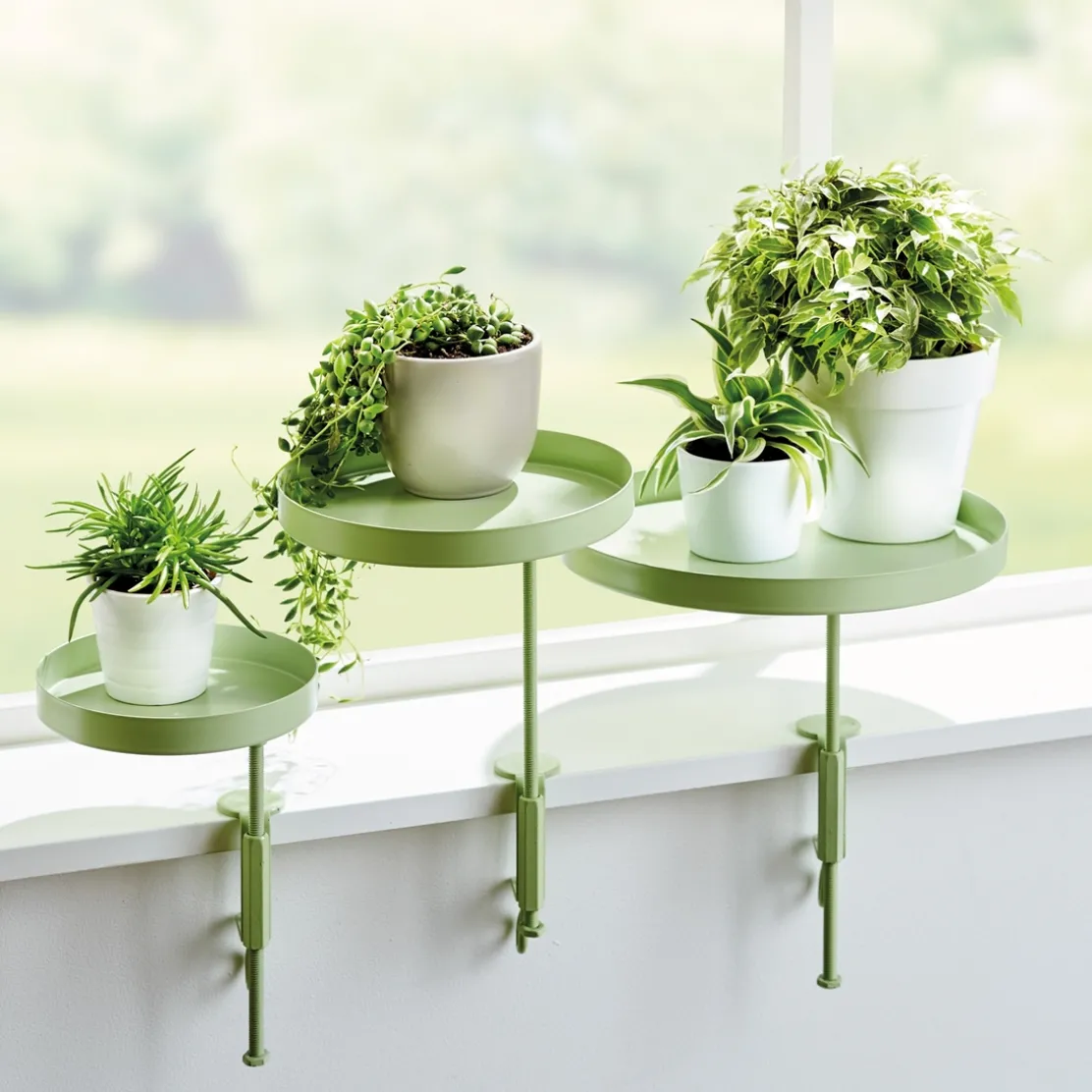 Support plantes : divers coloris