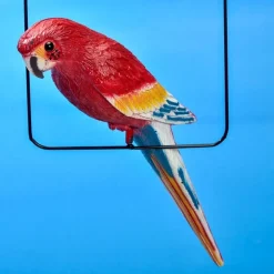 Suspension perroquet