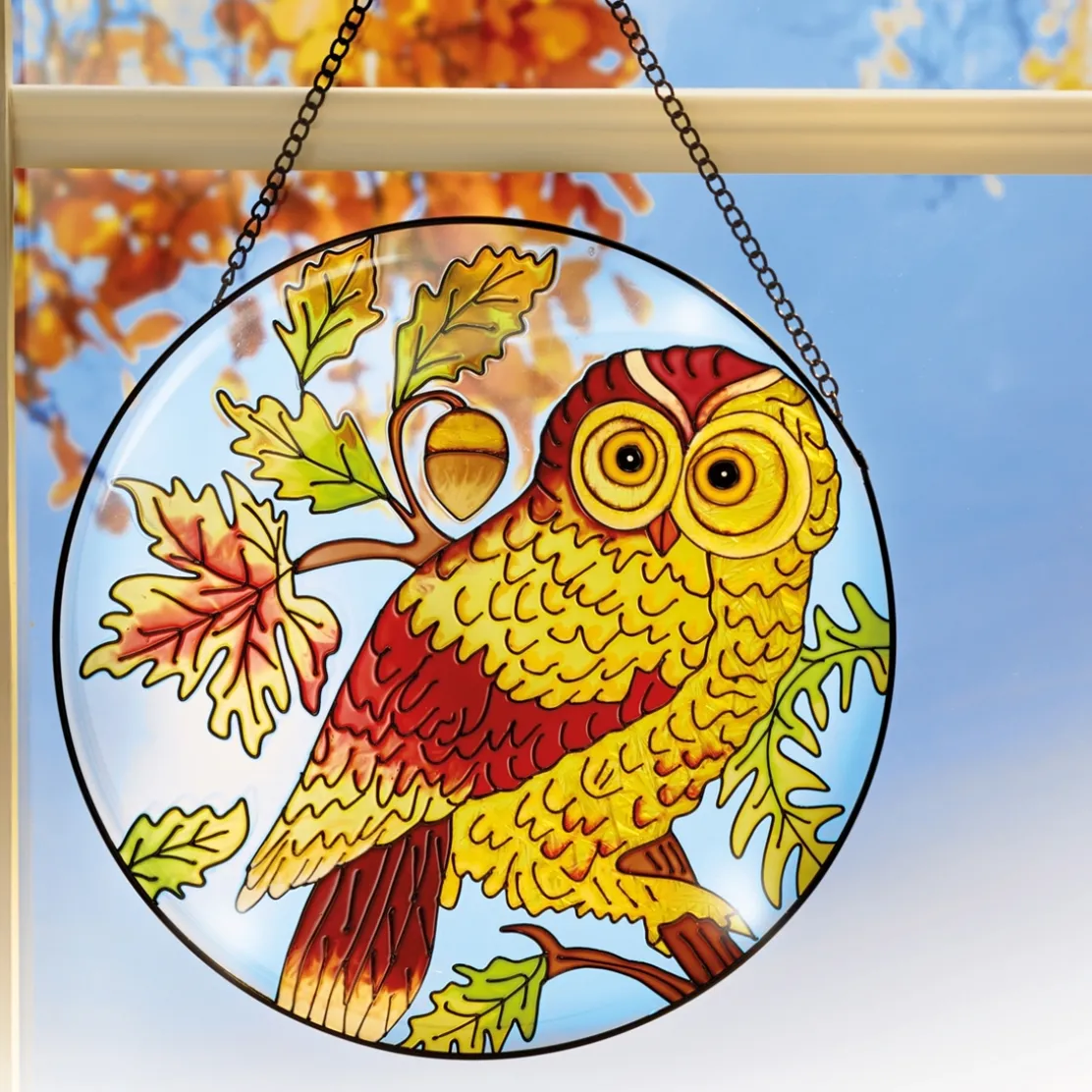 Vitrail chouette